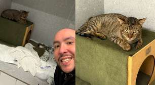 Gato resgatado nos trilhos do Metrô de SP é adotado e ganha nome em homenagem à estação