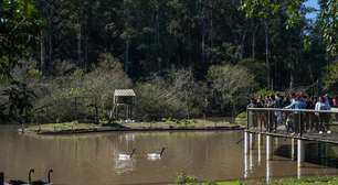 Zoológico de Sapucaia do Sul reabre para visitação neste sábado
