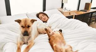 Dormir com pets: benefícios e cuidados para o bem-estar