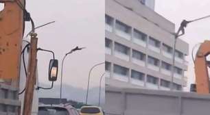 Homem é flagrado furtando fios no Viaduto do Gasômetro