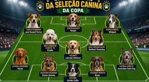Saiu a convocação: veja quais raças entrariam na Seleção Canina da Copa
