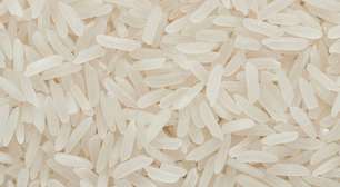 O segredo escondido nos grãos de arroz que pode revolucionar a robótica e a engenharia