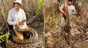 Caçadores capturam mais de 3,6 toneladas de cobras gigantes invasoras para 'sacrifício humanizado'