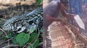 Trabalhador tenta dar água para lagarto e perde parte do dedo em ataque no MT