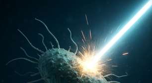 Microscópio eletrônico da USP mostra danos reais ao cabelo