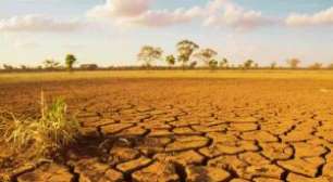 El Niño avança no Nordeste e acende alerta para seca em áreas agrícolas