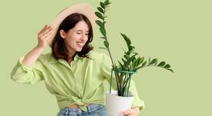 Por que damos nomes às plantas? O hábito que fortalece a conexão com a natureza