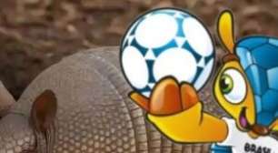 Tatu-bola: conheça o animal raro do Nordeste que já foi símbolo da Copa e está ameaçado