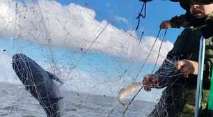 Patram recolhe rede de pesca clandestina em área de preservação na Lagoa dos Patos
