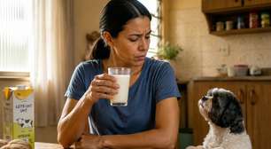 Cachorro pode tomar leite? E queijo? O que os tutores precisam saber