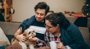 Estudo revela que cães e humanos envelhecem de forma parecida; entenda