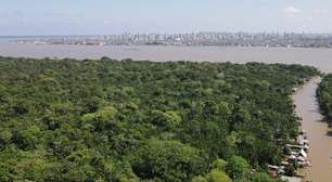 Amazônia se recupera de seca histórica, mostra MapBiomas