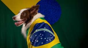 Pets na Copa do Mundo: 7 dicas para proteger o seu animal durante as comemorações