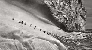 Itália receberá 1ª retrospectiva no país dedicada a Sebastião Salgado