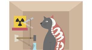 Experimento de Oxford leva o "gato de Schrödinger" a um novo nível e intriga cientistas