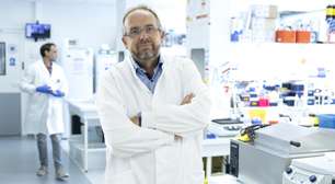 Cientistas franceses criam anticorpo que combate a resistência do câncer de pâncreas à quimioterapia