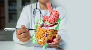 Intestino permeável e intestino irritável: entenda as principais diferenças
