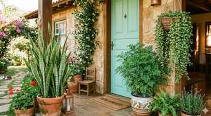 Plantas na entrada de casa: conheça 3 espécies que barram a inveja e atraem a prosperidade