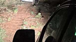 Mulher sequestrada é encontrada morta em porta-malas de carro no interior de SP