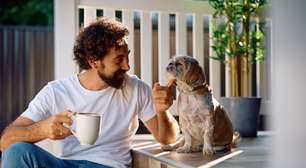 7 dicas para conquistar a confiança do seu cachorro
