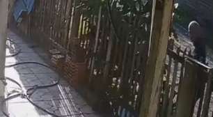 Homem é preso por maus-tratos após agredir cachorro com pedaço de madeira no Litoral Norte do RS