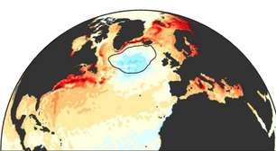 "Está sendo causado pelo próprio oceano": o maior especialista mundial na Corrente do Golfo tem más notícias sobre o coração do Atlântico