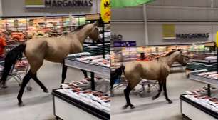 Cavalo é flagrado trotando em supermercado no Recife e viraliza