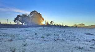 Cidade de SC registra menor temperatura do ano, com -6,7ºC; veja como ficou paisagem