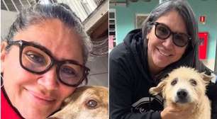 Polícia apura produção de documentos falsos para eutanásia de animais em Canoas