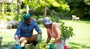 Como cuidar das plantas no inverno: 5 dicas essenciais