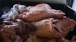 Operação fecha abatedouro clandestino e apreende mais de 1,2 tonelada de carne na Região Central