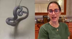 Silvia Abravanel comemora após encontrar cobra de estimação desaparecida há cinco meses: 'Feliz da vida'