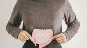 Intestino saudável pode ajudar na recuperação de lesões cerebrais