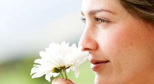 Perfume natural no jardim: 5 plantas que deixam o quintal cheiroso quando a noite chega