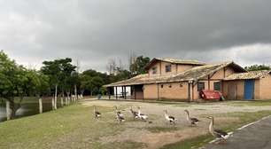 Parque Centenário terá revitalização e novas áreas de lazer, anuncia Prefeitura de Mogi