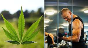 Essa proteína de cannabis pode ser a opção mais saudável para ganhar massa muscular