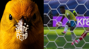 Com pássaros e gol de Vini Jr, CBF anuncia chegada da Seleção à Filadélfia para jogo contra o Haiti
