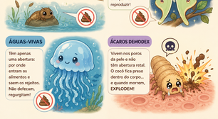 Esses 4 animais não fazem cocô e o último literalmente "explode" por conta disso