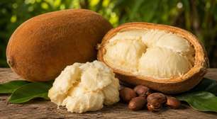Cupuaçu: a fruta amazônica que conquista cada vez mais o Brasil