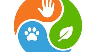 Saúde Única: o conceito que integra humanos, animais e meio ambiente e se torna essencial para prevenir futuras epidemias