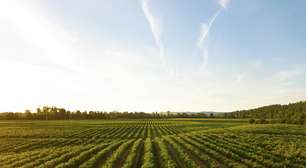 Agrotóxicos podem estar fortalecendo grande inimigo: um dos herbicidas mais utilizados estaria "alimentando" superbactérias mortais