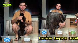 Gato 'vidente' prevê vitória do Brasil contra Escócia e tenta terceiro acerto seguido