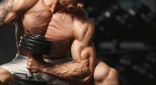 Treinamento de hipertrofia: como o músculo cresce com o estímulo do treino