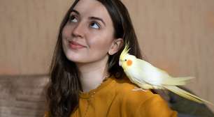 Ter uma ave em casa requer atenção: veja o que diz a lei e como proporcionar qualidade de vida ao animal