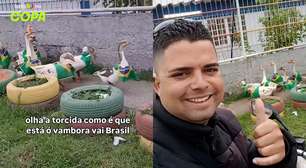 Grupo de gansos com bandeiras do Brasil viraliza após 'desfile' em bairro do Rio