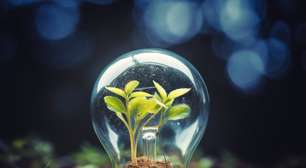 Projeto Conexões em Teias traz inovação ao MIT Energy Summit