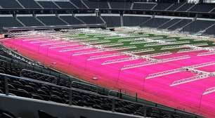 Gramado rosa chama atenção em estádio da Copa antes de Japão e Suécia