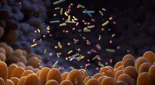 Urolitina A e microbiota intestinal: o elo entre alimentação e proteção do intestino