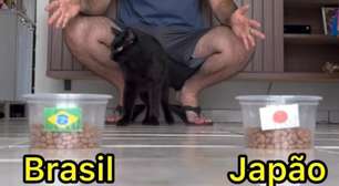 Gato vidente "crava" classificação do Brasil sobre o Japão na Copa do Mundo