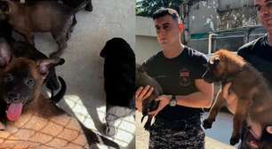 Vídeo mostra treinamento dos novos filhotes do Batalhão de Ações com Cães da PM no Rio